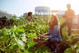 Urban Farming Workshop